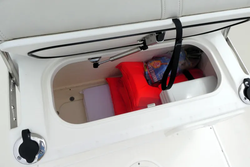 Slide: The Image of Storage compartment of 2023 Boston Whaler 210 Montauk boat with safety gear and supplies. - 12