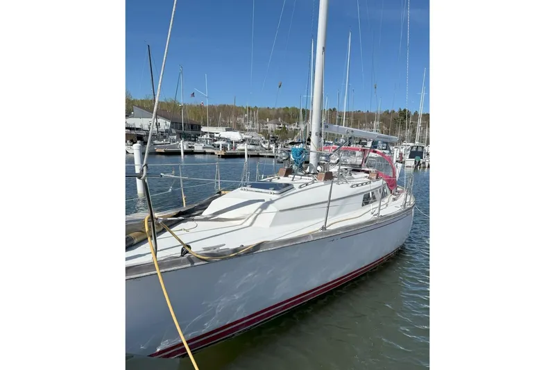 The Image of 1982 C&C Landfall 38 sailboat docked in a marina under clear blue skies. - 1