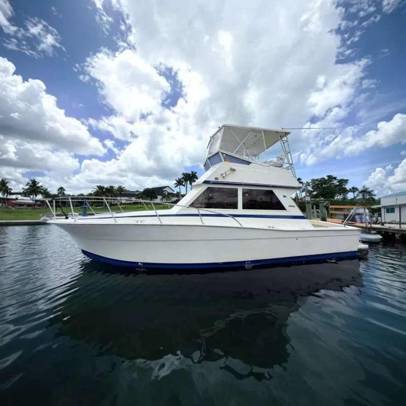 The Image of 1986 Viking 35 Convertible boat on calm water under cloudy sky. - 0