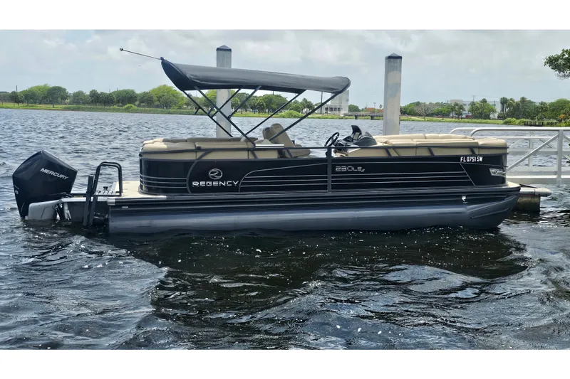 The Image of 2020 Regency 230 LE3 pontoon boat docked on a sunny day with Mercury outboard. - 0