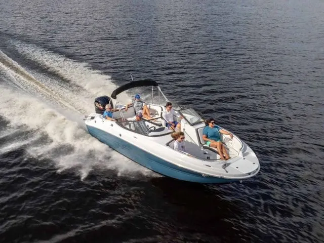 The Image of Stingray 231 DC 2026 - 1