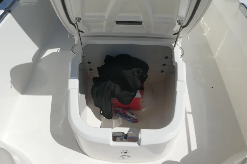 Slide: The Image of Open storage compartment on 2019 Boston Whaler 270 Dauntless boat. - 10