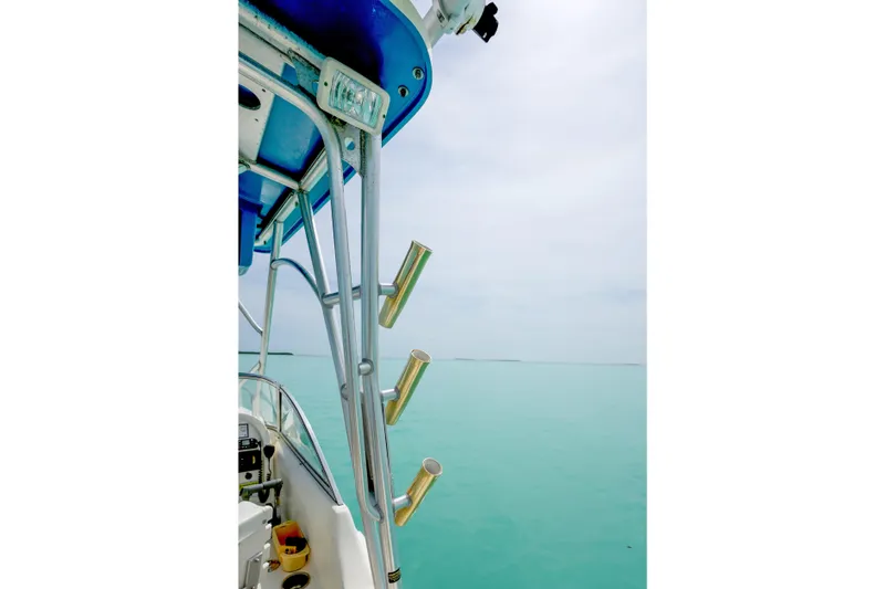 Slide: The Image of World Cat 250 DC boat, 2006 model, with rod holders against a serene ocean backdrop. - 29