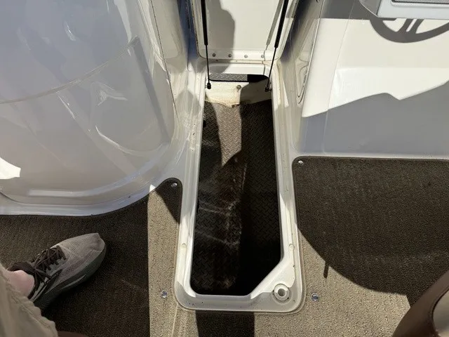 Slide: The Image of Sea Ray SDX 240 2017 - 12
