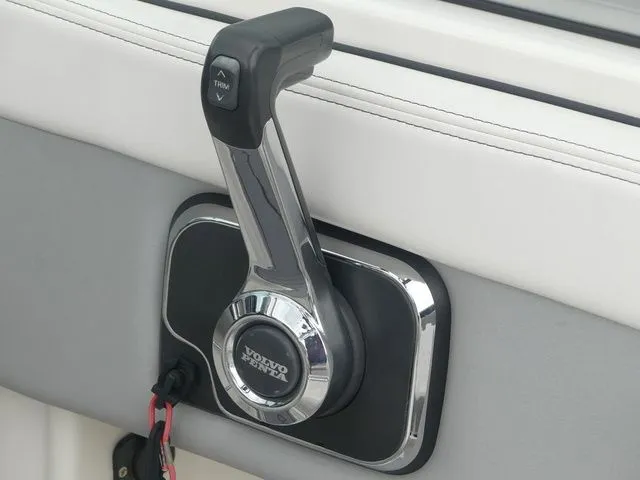 Slide: The Image of Chaparral 23 Surf 2021 - 49