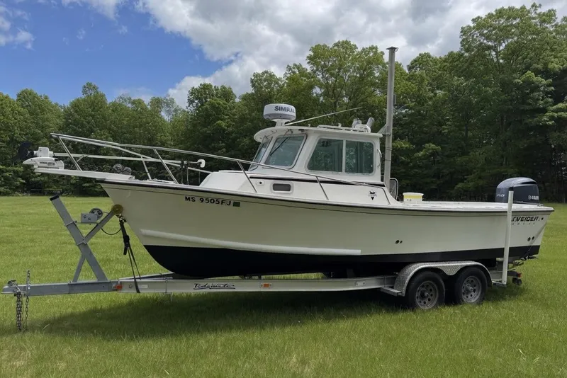 The Image of 2016 Steiger Craft 25 Chesapeake boat on trailer in grassy field. - 0