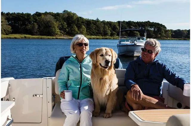 Slide: The Image of Boston Whaler 270 Vantage 2019 - 11