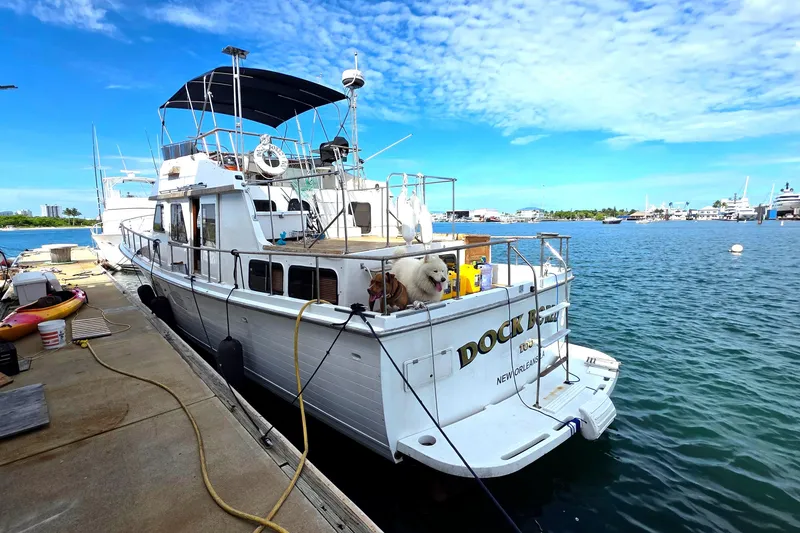 Slide: The Image of 1991 Marine Trader Trawler docked at marina with a dog on deck under blue sky. - 2
