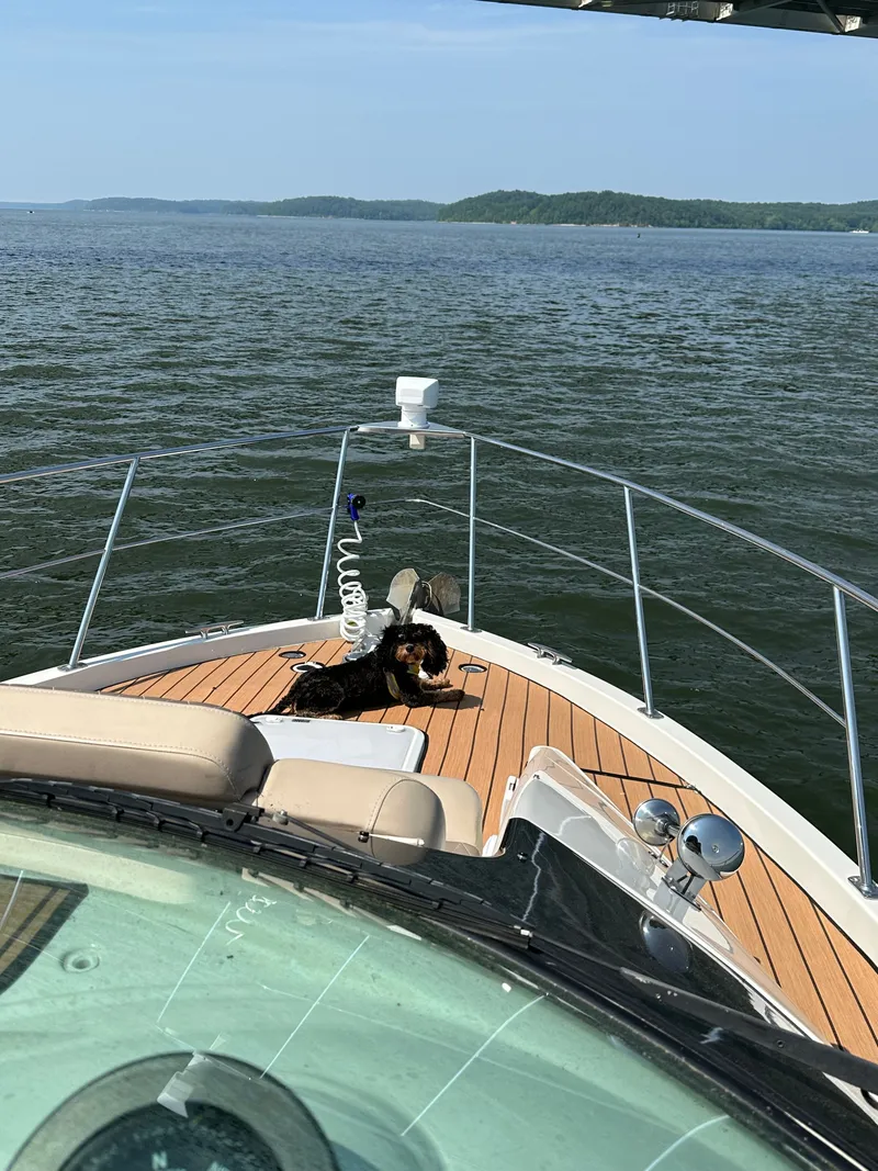 Slide: The Image of Dog relaxing on 2012 Carver 36 Mariner yacht on open water. - 10