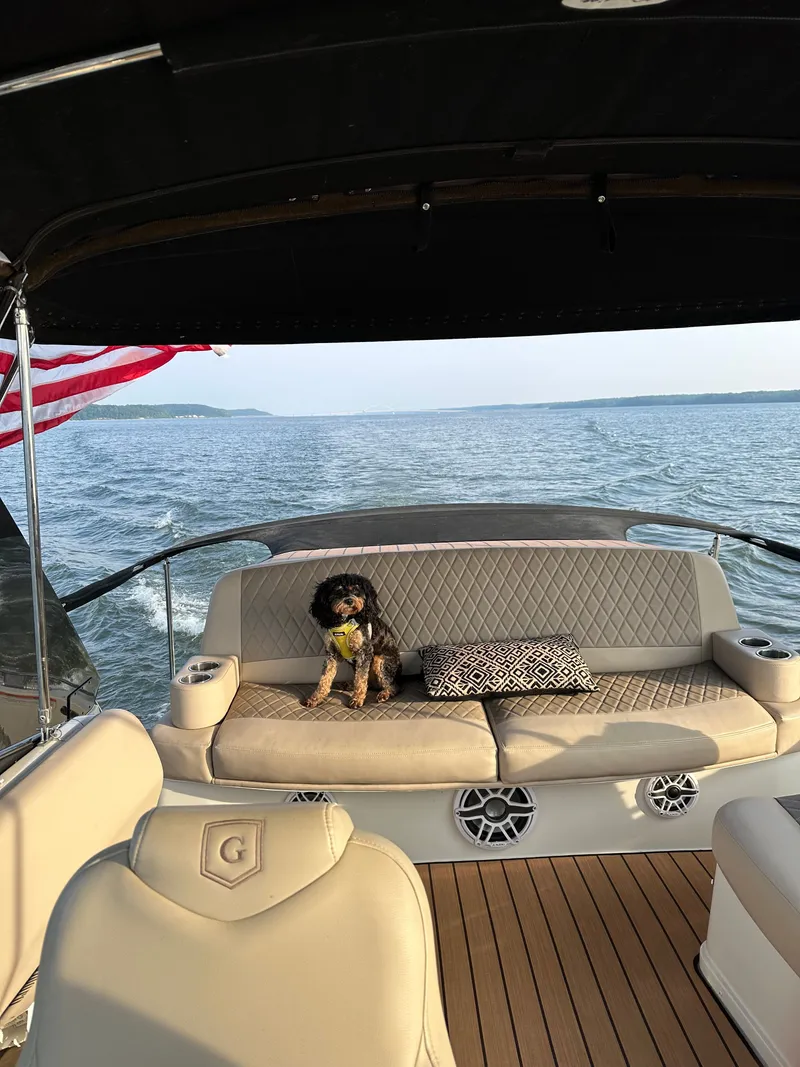 Slide: The Image of Dog on Carver 36 Mariner boat, 2012, at sea. - 12