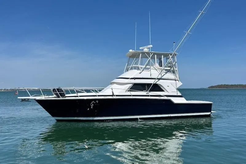 The Image of Bertram 43 Convertible 1995 - 0