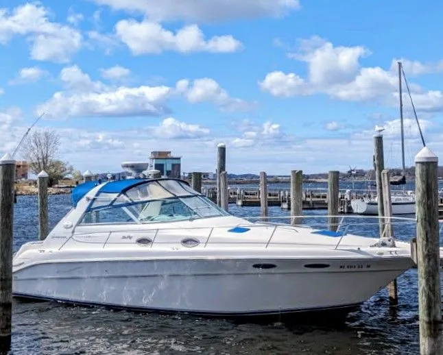 The Image of Sea Ray Sundancer 330 1995 - undefined