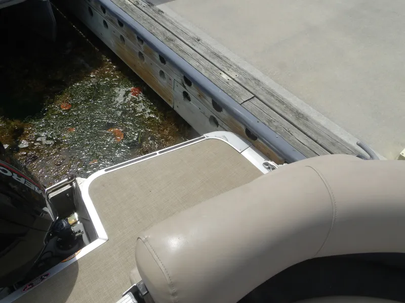 Slide: The Image of Harris Pontoon 2024 at dock with aquatic plants. - 17