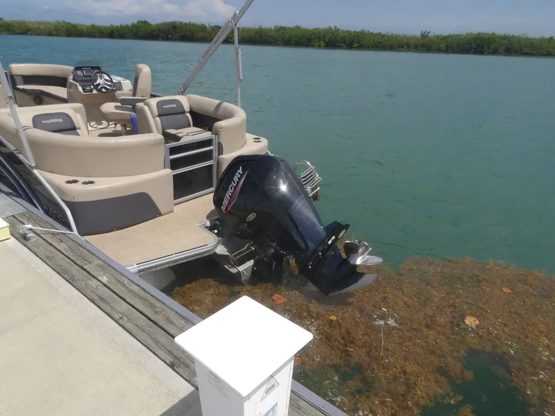 Slide: The Image of 2024 Harris Pontoon boat with Mercury engine at dock. - 5
