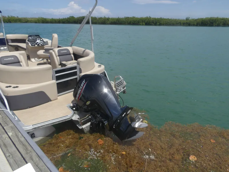 Slide: The Image of 2024 Harris Pontoon boat with Mercury engine in water. - 7