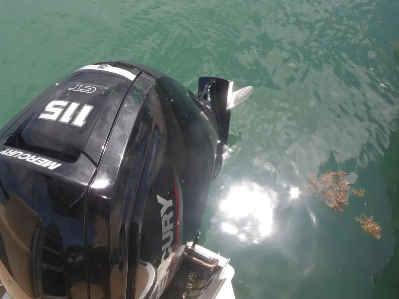 Slide: The Image of Mercury 115 HP outboard motor on 2024 Harris Pontoon. - 19