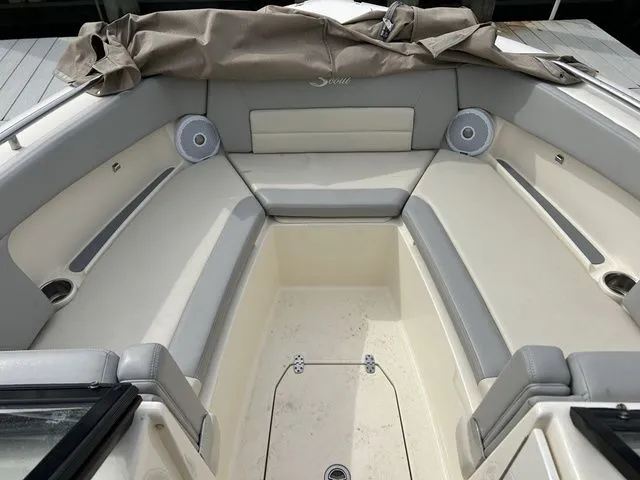 Slide: The Image of Scout 255 Dorado 2020 - 4
