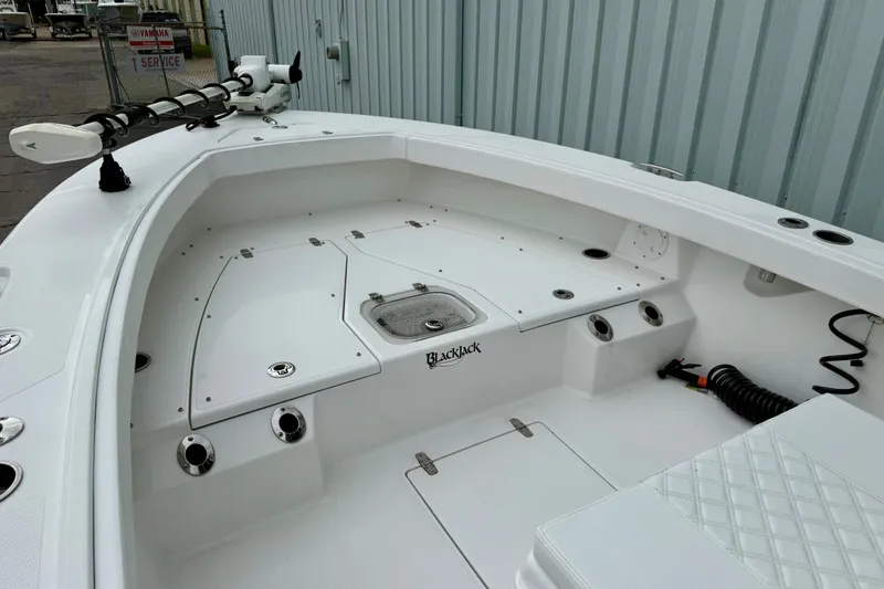 Slide: The Image of T-top of 2025 BlackJack 256 Coastal boat with speakers and rod holders. - 19