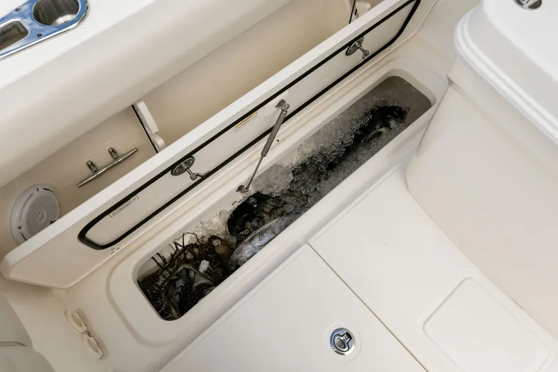 Slide: The Image of Boston Whaler 250 Outrage 2027 - 84