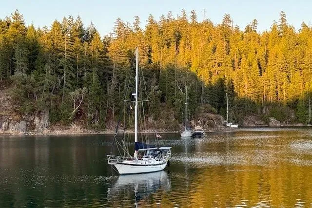 Slide: The Image of Sailboat Cabo Rico 38R (1990) anchored in serene forested lake at sunset. - 1