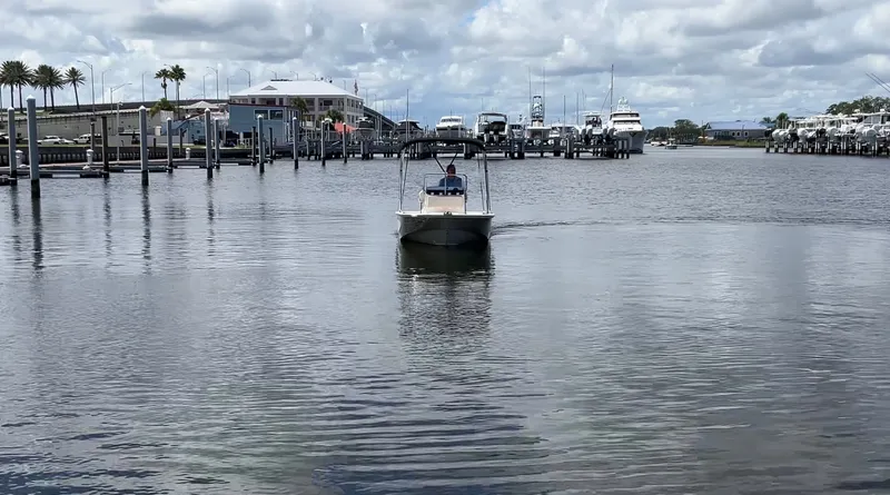 Slide: The Image of Boston Whaler 150 Montauk 2027 - 24