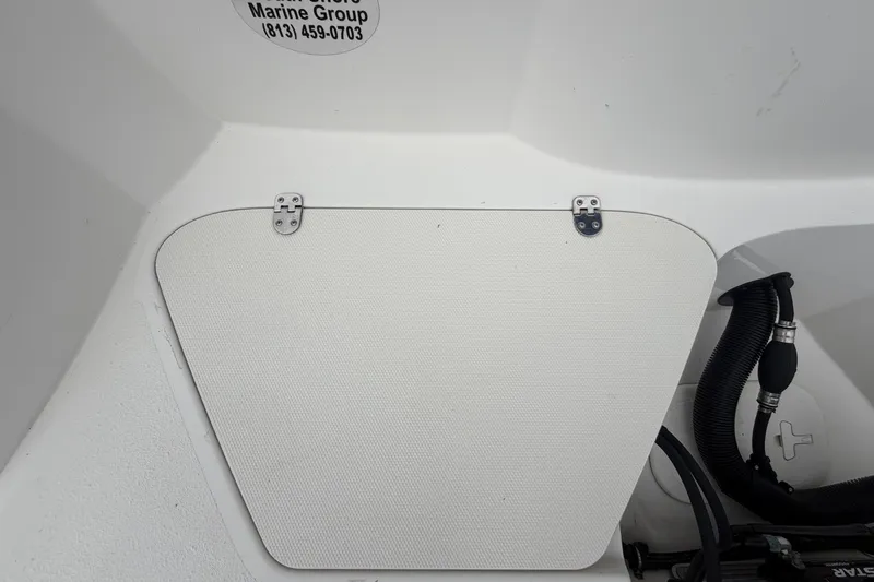 Slide: The Image of Stingray 231 DC 2023 - 64