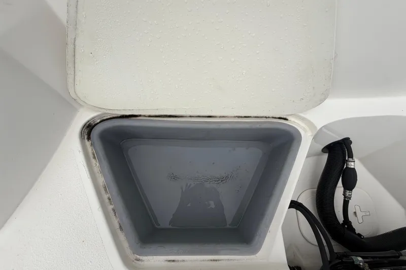 Slide: The Image of Stingray 231 DC 2023 - 65