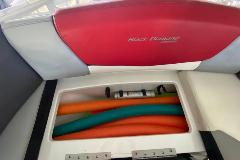 Slide: The Image of 2014 Cruisers 328 Black Diamond boat seat storage with colorful pool noodles. - 42