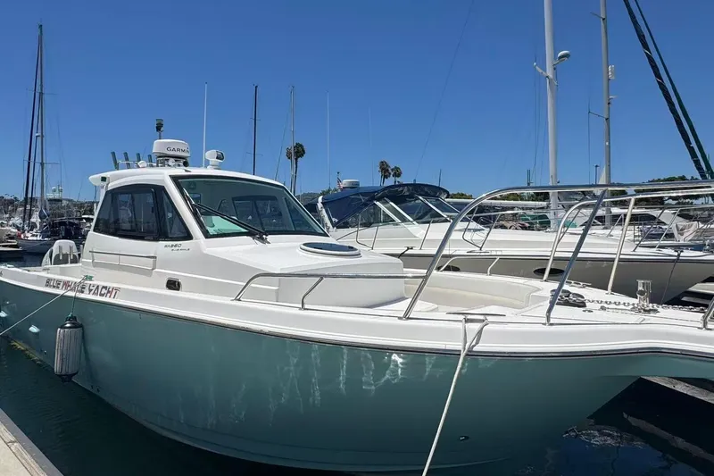 The Image of 2024 Bluewhale 3600 WA yacht docked in marina under clear blue sky. - 1