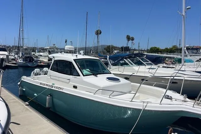 Slide: The Image of 2024 Bluewhale 3600 WA yacht docked at marina under clear blue sky. - 21