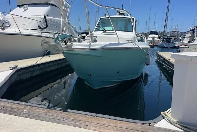 Slide: The Image of 2024 Bluewhale 3600 WA boat docked in a marina, surrounded by other vessels. - 3