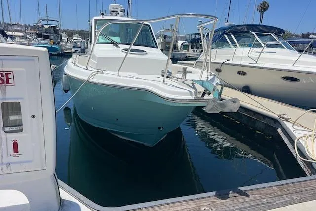 Slide: The Image of 2024 Bluewhale 3600 WA boat docked in a marina, surrounded by other vessels. - 4