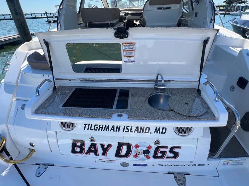 Slide: The Image of 2018 Sea Ray Sundancer 350 Coupe with outdoor kitchen, Tilghman Island, MD. - 11