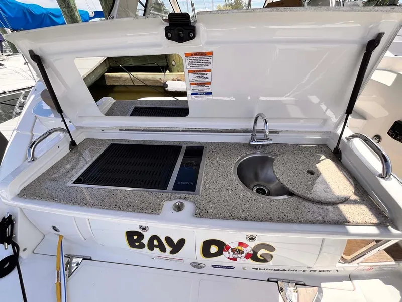 Slide: The Image of Sea Ray Sundancer 350 Coupe 2018 - 71