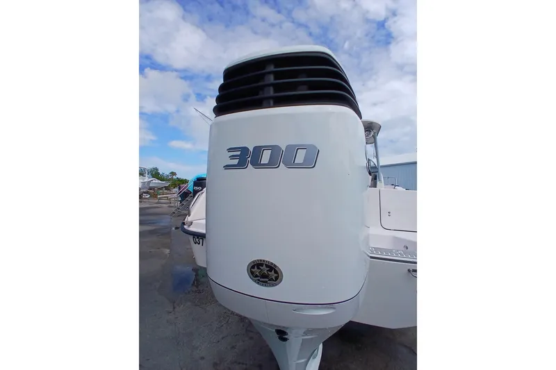 Slide: The Image of Outboard motor on a 1996 Grady-White Advance 247 boat under a cloudy sky. - 46