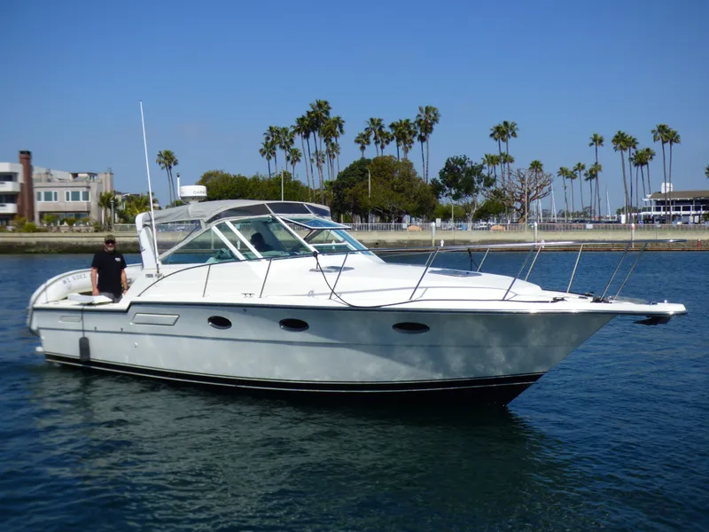 The Image of A white motorboat cruising on calm water, with palm trees in the background. - 0