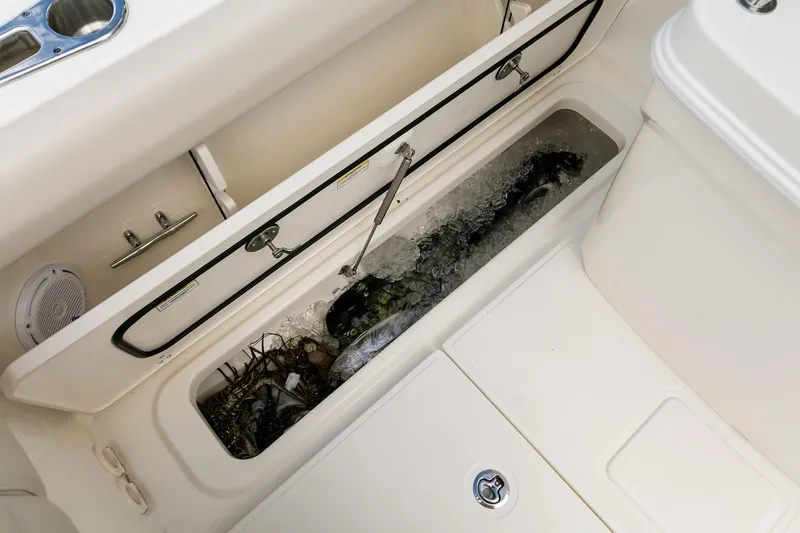 Slide: The Image of Manufacturer Provided Image: Boston Whaler 250 Outrage 2025 fish storage compartment with ice and catch. - 19