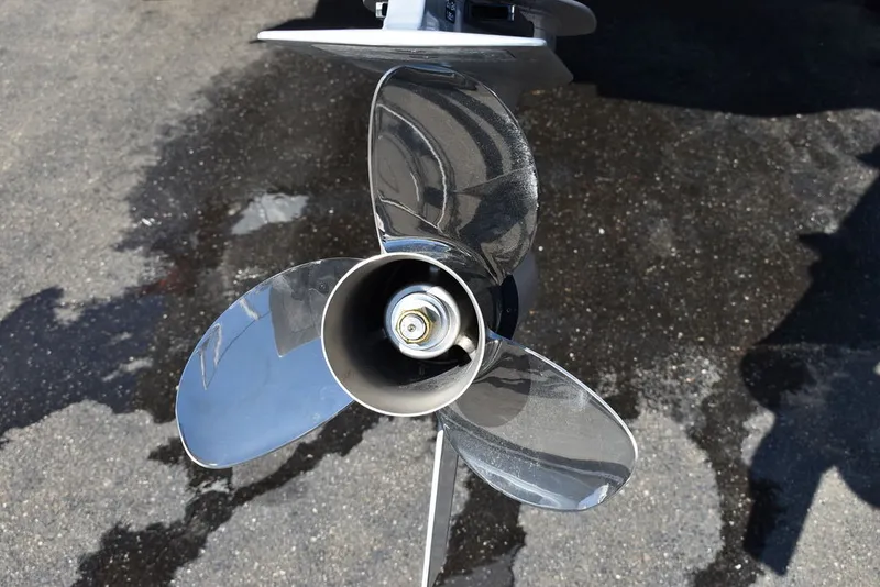 Slide: The Image of Monterey M-45 2024 - 65