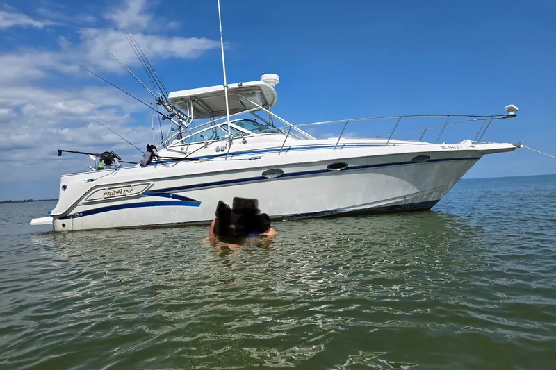 The Image of 1998 Pro-Line 3250 Express boat on calm water under a clear blue sky. - 0