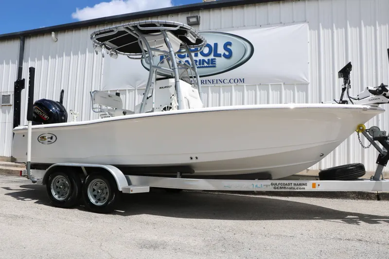 The Image of Sea Hunt BX20BR 2018 - 1