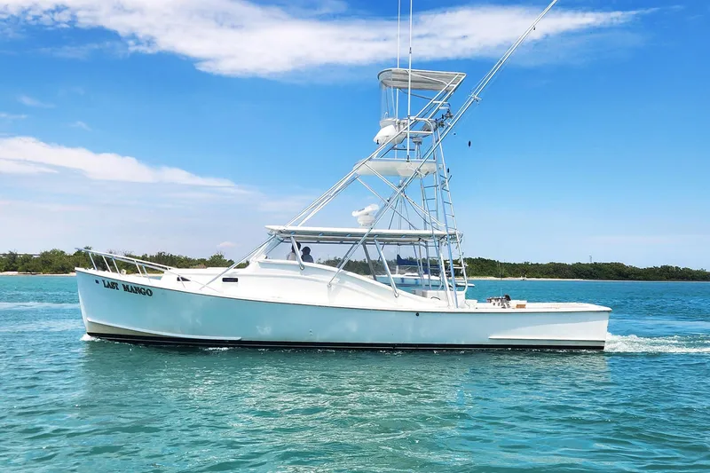 The Image of 1987 Young Brothers Custom Sport Fish boat on clear blue water under a sunny sky. - 0