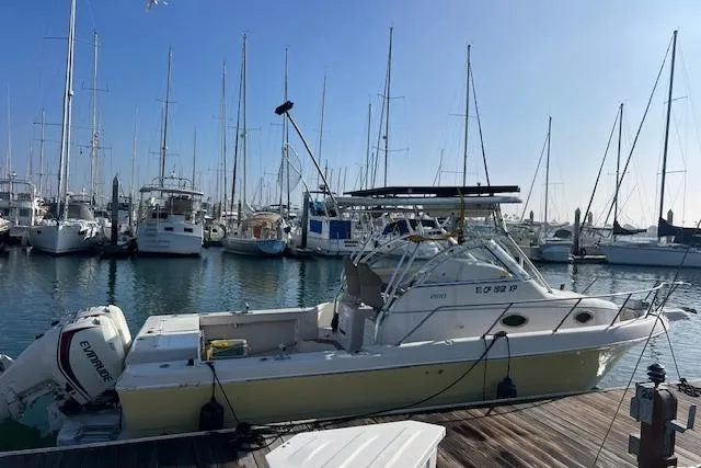 Slide: The Image of 1998 Pro-Line 2610 Walkaround boat docked in a marina with sailboats in the background. - 6
