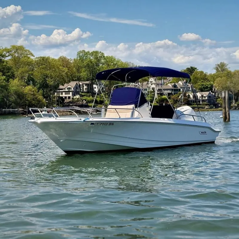 The Image of 2022 Boston Whaler 220 Dauntless boat on calm water with scenic background. - 0