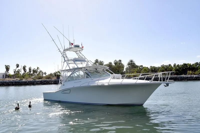 Slide: The Image of Cabo 40 Express 2005 on calm water near palm trees. - 7