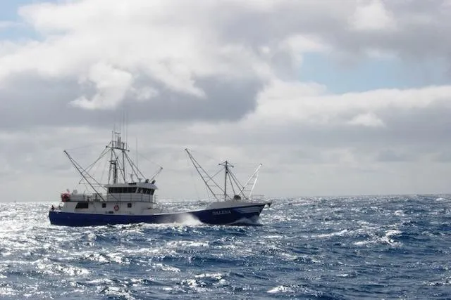 Slide: The Image of Custom 1995 Steel Albacore Tuna Vessel navigating ocean waves under cloudy skies. - 11