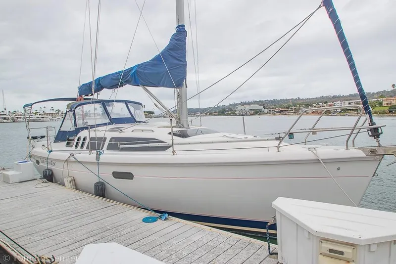 The Image of Sailboat docked at marina, 1995 Hunter 336 model, featuring blue sail cover. - 1