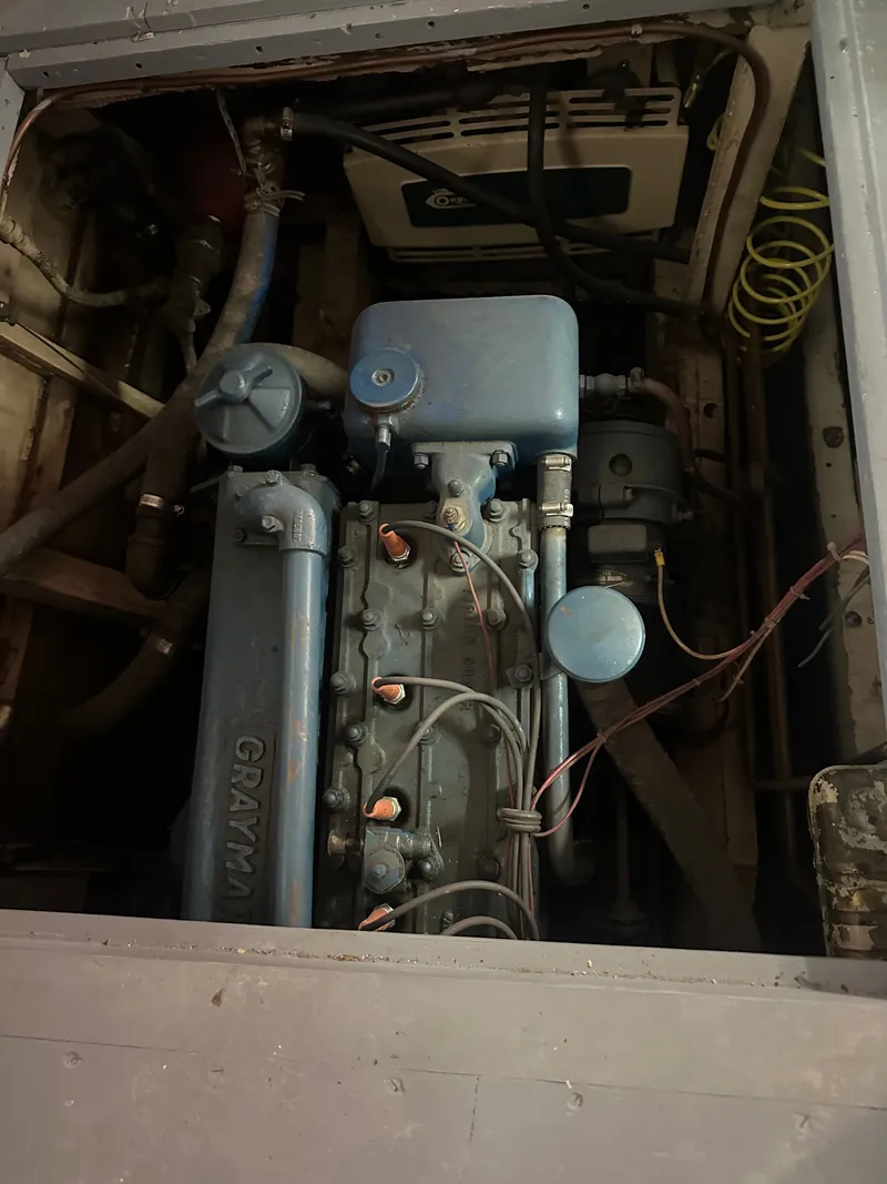 Slide: The Image of Gray Marine - 33