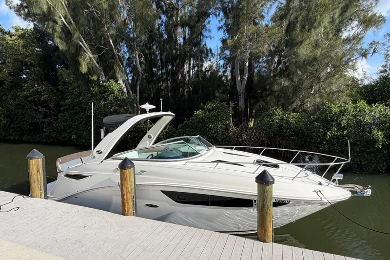 Slide: The Image of 2018 Sea Ray Sundancer 260 docked by lush greenery, showcasing sleek design and elegance. - 64