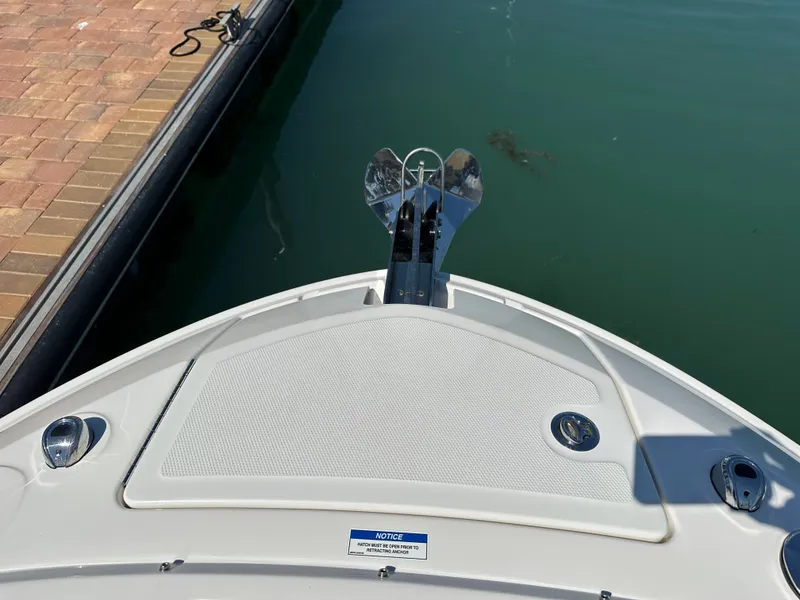 Slide: The Image of Sea Ray SLX 310 Outboard 2022 - 24