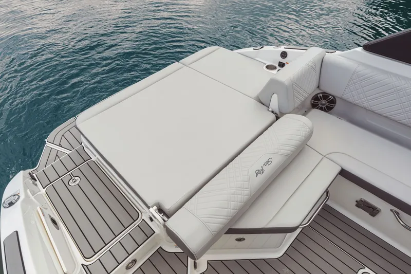 Slide: The Image of Sea Ray SDX 250 2026 - 77